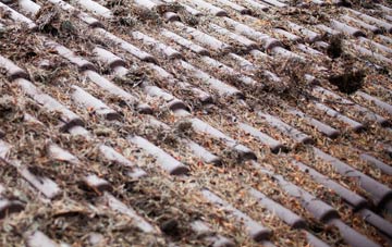 New Grimsby roof cleaning companies